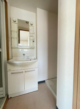 坂上コーポラスの洗面所