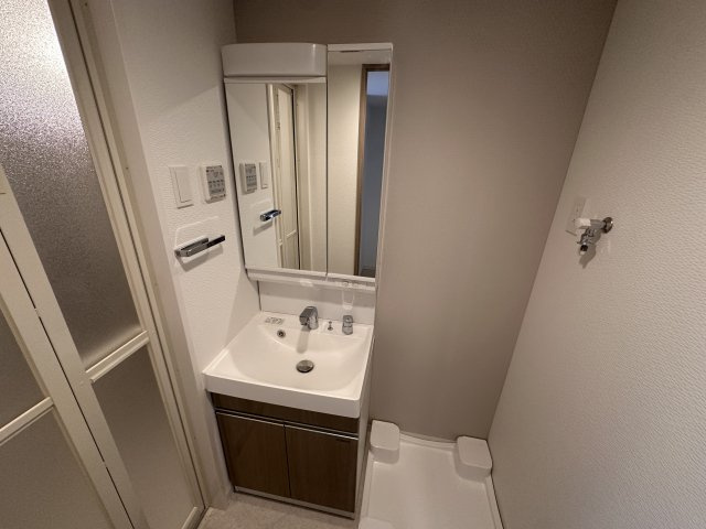 S-RESIDENCE高井田beletaの洗面所|スペースが確保できる洗面所です