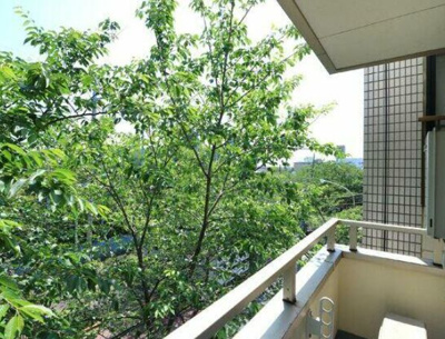 【展望】 | シャトー白馬