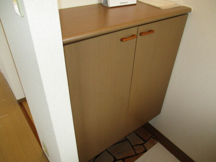 グランシャリオの玄関