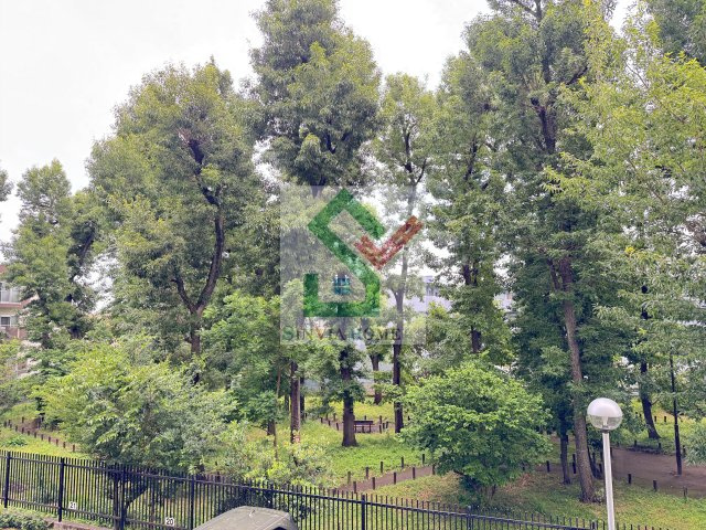 大関山ハイツの展望