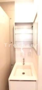 ココキューブエコダノース(COCOCUBE EKODA North)の洗面所