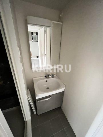 プレサンス深江橋ラヴィゲートの洗面所