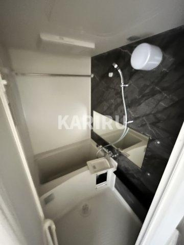 プレサンス深江橋ラヴィゲートの浴室