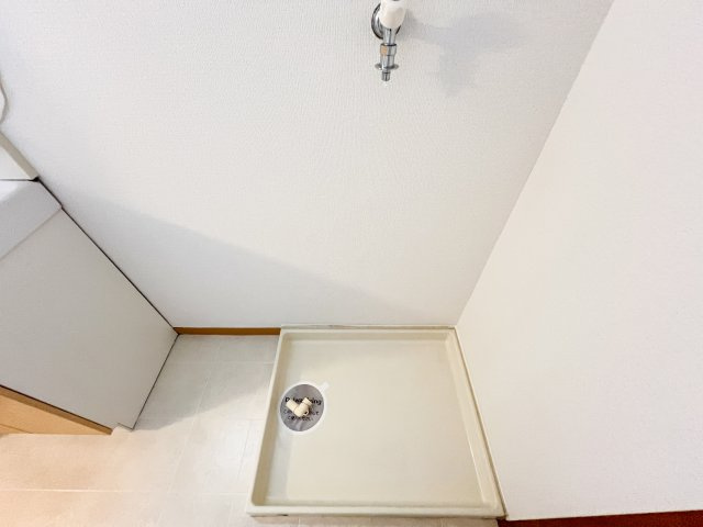 一ツ橋レジデンスの洗面所