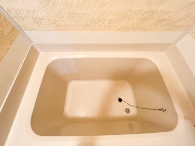 一ツ橋レジデンスの浴室