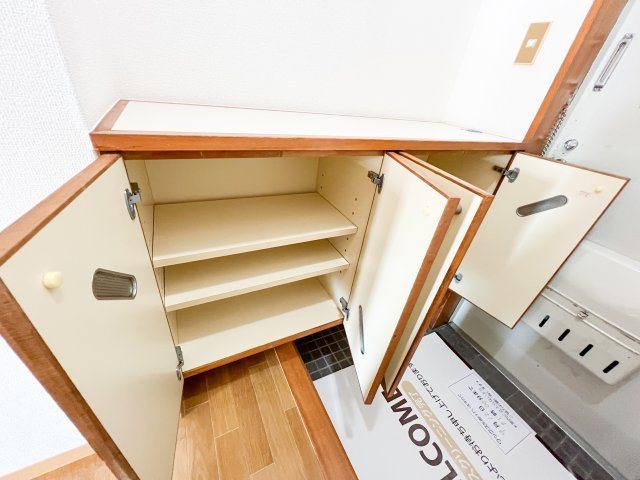 一ツ橋レジデンスの玄関