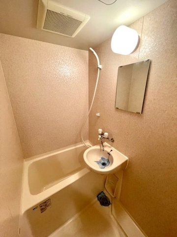 新品家具付きマンション本町12(KaGood東京)の浴室