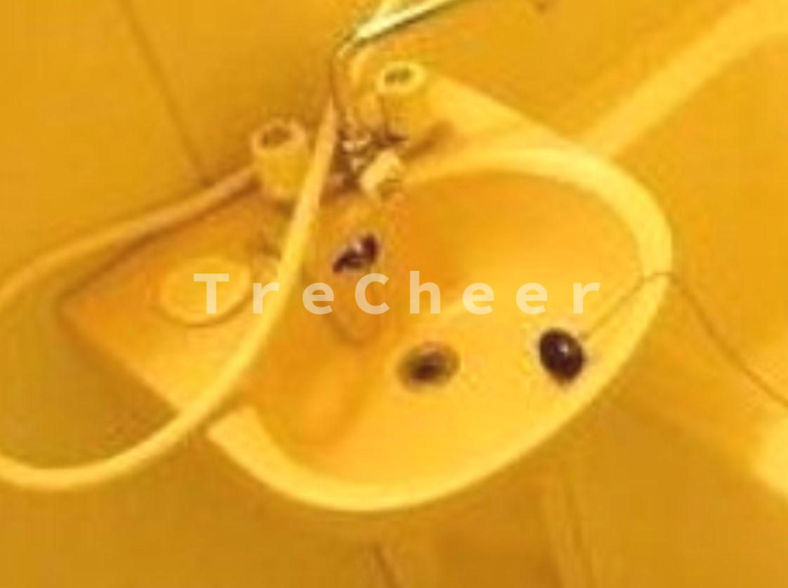 フラット高島平の浴室