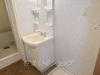 セジュールSの洗面所