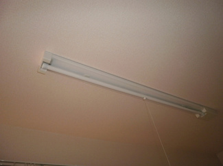 【その他】 | サングリア