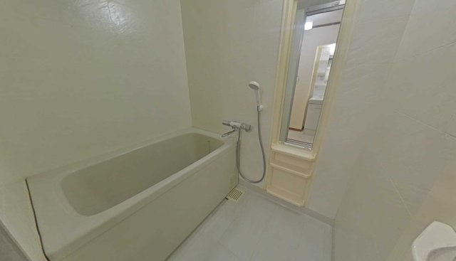 熊本市南区八分字町の賃貸マンションの浴室