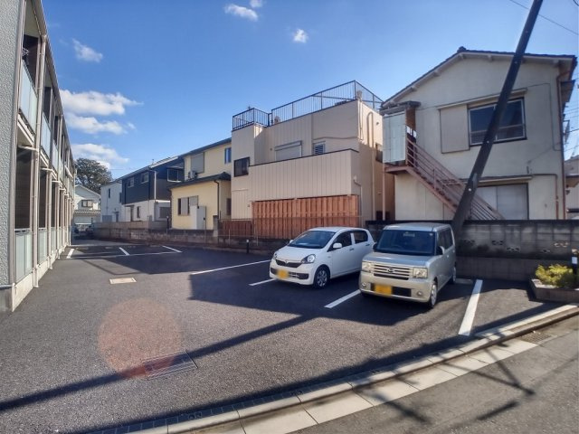 レオネクストスマイルシダーのその他