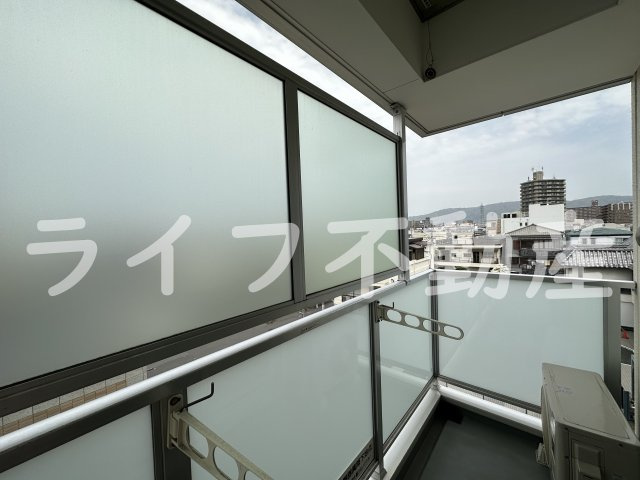 ネモフィラの展望