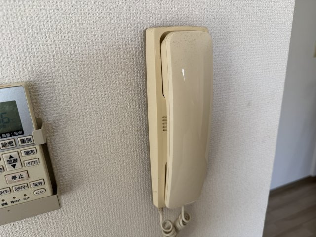 チェスナットのセキュリティ