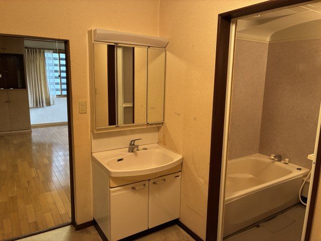 米沢市駅前４丁目　２階建て中古住宅の独立洗面台