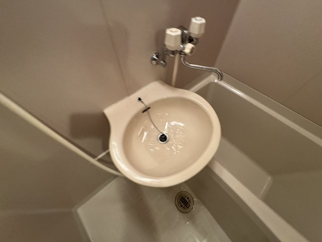 ビラージュ桃山の洗面所