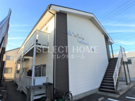 Ｓｕｒｐｌｕｓ　Ｔｗｏ　Ｉｃｈｉｋａｗａ　Ｂの画像