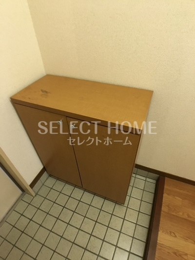  | Ｓｕｒｐｌｕｓ　Ｔｗｏ　Ｉｃｈｉｋａｗａ　Ｂ | 同型タイプ