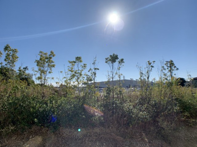 【展望】 | ミュゼ大蔵谷