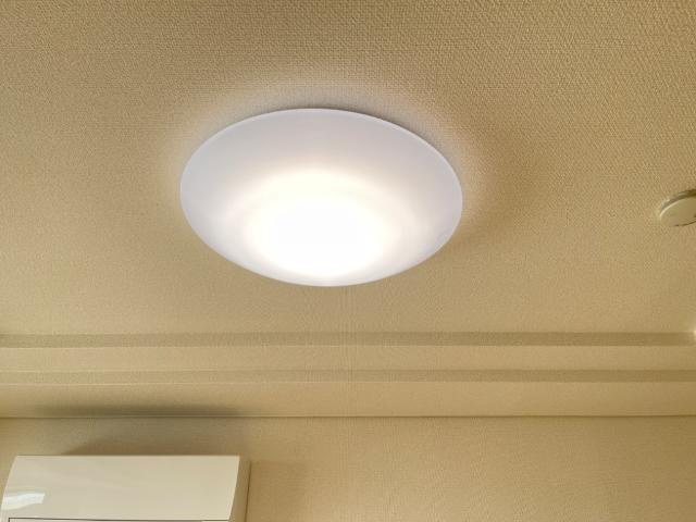 The garden of ｌove　レジデンス愛の園　　　　刈谷市近郊の賃貸はクラスホームの設備|照明器具