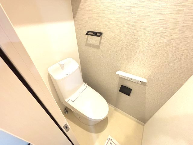 ALEGRIA道明寺Ⅱのトイレ
