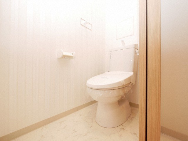 L-IDEA　MINAMIHORIE（リデア南堀江）のトイレ