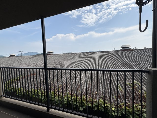 APEX高嶋の展望