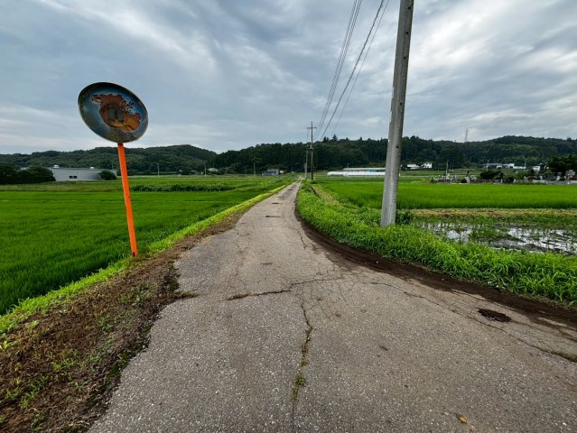 670坪弱　倉庫・物置・用途様々　那珂川町中古物件　土地の前面道路含む現地写真