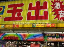 オズレジデンス中川の周辺