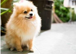 【その他】 | ラ・ベルドゥーレ田無