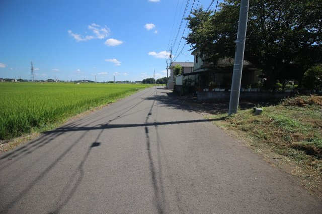 野木町丸林の前面道路含む現地写真|北西側道路（2025年7月撮影）