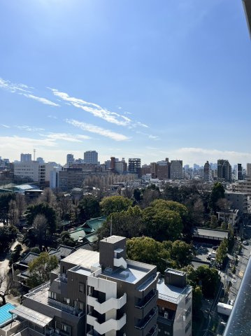 LaSante文京千駄木の展望