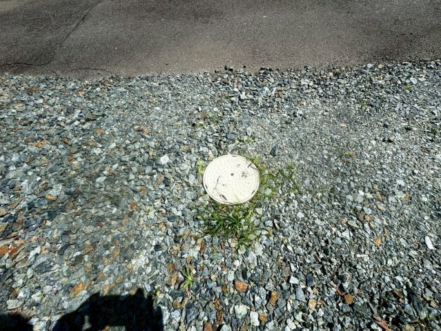 本村貸地の庭