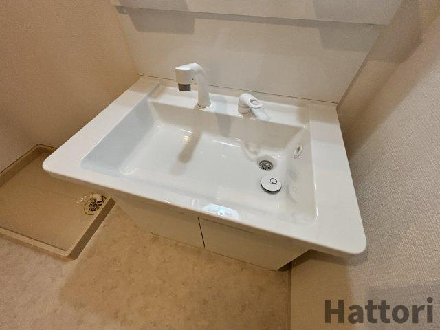 メイビスタ大淀の洗面所