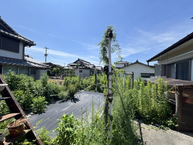 八代市千丁町吉王丸229-1、229-2の庭