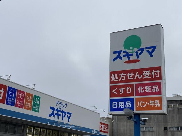 名古屋市昭和区折戸町２丁目の新築一戸建の周辺|ドラッグスギヤマ春岡…まで604m 