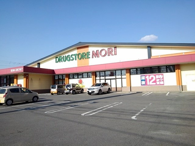 サファイアンエレガンスＡの周辺|ドラッグストアモリ山川店まで750m