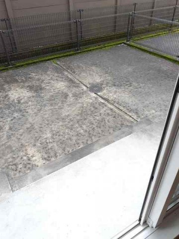 ハーモニー・ベルの庭