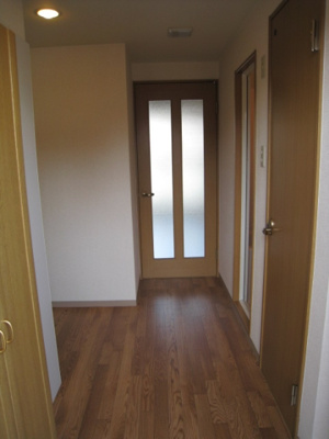  | エクセレント上新12