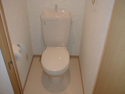  | エクセレント上新12