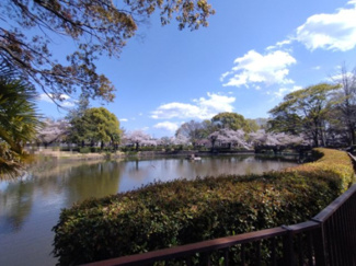 【周辺】 | 鹿沼公園　約220ｍ