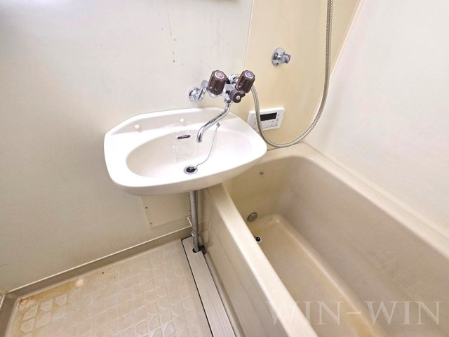 エルディム藤の洗面所