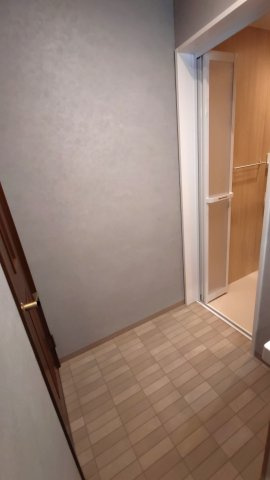 東大阪市西岩田1丁目　中古戸建の脱衣所