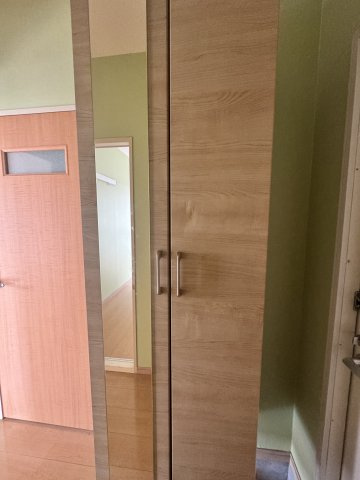 ファミールガーデンA棟のその他|シューズボックスに鏡がついております