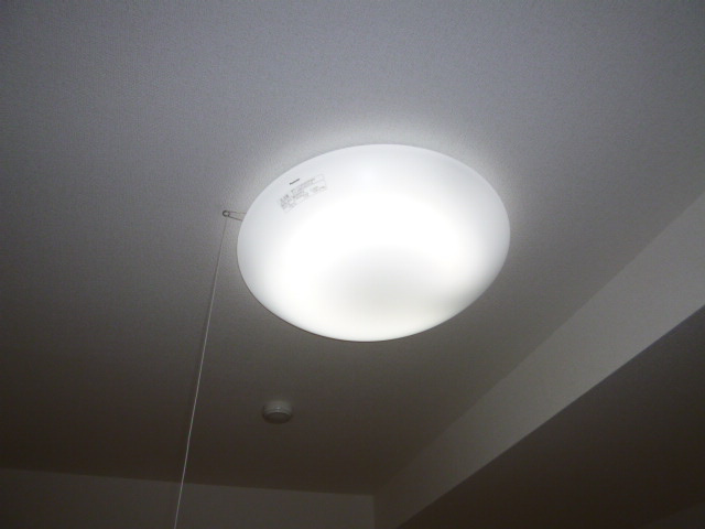 グレイスＫＩＫＫＡＷＡの設備|照明