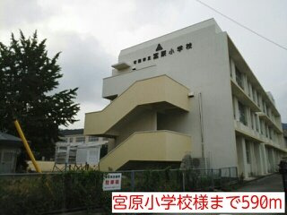 【周辺】 | フルッテート　Ｍ | 宮原小学校様まで590m