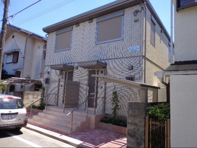 Narciso floroの外観