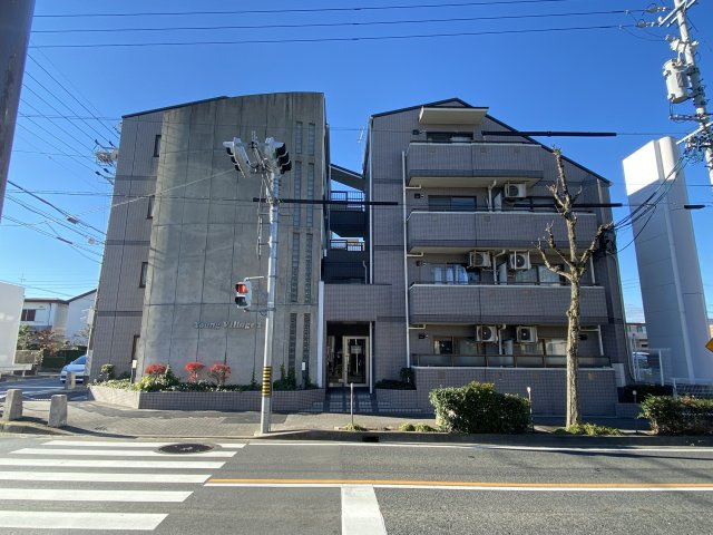Young　Village2