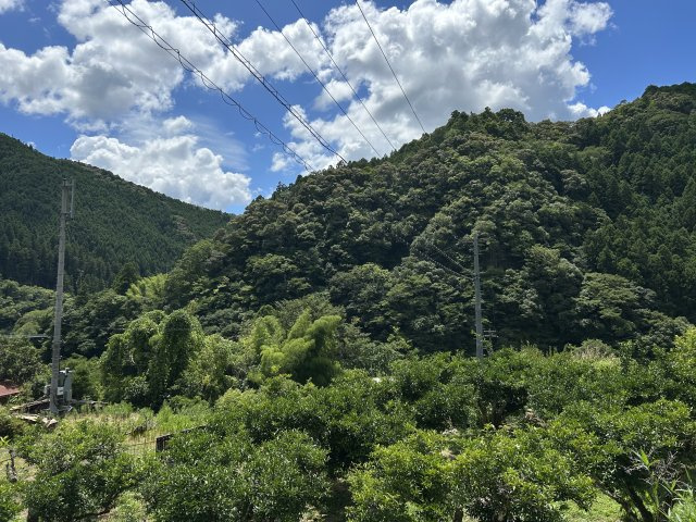 那賀郡那賀町桜谷字東畑中古戸建の展望